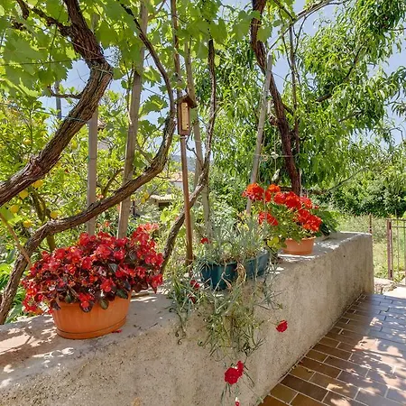 Apartment Carmen Veli Losinj Exterior photo